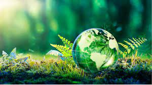 Embracing a Sustainable Lifestyle: A Path to Environmental Consciousness