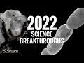 Exploring the Top Scientific Breakthroughs of 2022