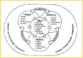 Navigating Cultural Differences: Understanding the Theory Behind Diverse Perspectives