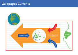 Exploring the Current Global Landscape: A Comprehensive Overview