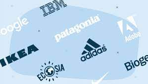 Championing Eco-Conscious Practices: Embracing Environmentally Friendly Companies