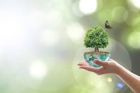 Environmental Sustainability: Preserving Our Planet for Future Generations
