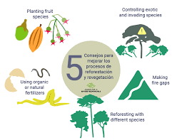 Preserving Environmental Stability: A Key to a Sustainable Future