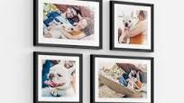 Elevate Your Space with Framed Art Photography Masterpieces