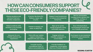 Exploring the Top Eco-Friendly Companies Leading the Way Towards Sustainability