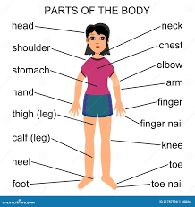 part